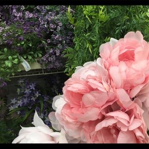 Meet your Posher, Arianna